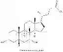 Fig. 19 - NOVEL 7beta-HYDROXYSTEROID DEHYDROGENASES AND THEIR USE