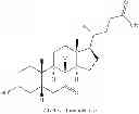 Fig. 20 - NOVEL 7beta-HYDROXYSTEROID DEHYDROGENASES AND THEIR USE