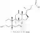 Fig. 21 - NOVEL 7beta-HYDROXYSTEROID DEHYDROGENASES AND THEIR USE