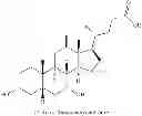 Fig. 22 - NOVEL 7beta-HYDROXYSTEROID DEHYDROGENASES AND THEIR USE