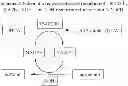 Fig. 24 - NOVEL 7beta-HYDROXYSTEROID DEHYDROGENASES AND THEIR USE