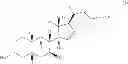 Fig. 26 - NOVEL 7beta-HYDROXYSTEROID DEHYDROGENASES AND THEIR USE