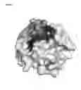Fig. 07 - Crystal structure of the pro form of a matrix metalloproteinase and an allosteric processing inhibitor