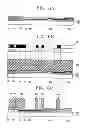 Fig. 09 - In-plane switching mode liquid crystal display and method for fabricating the same
