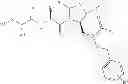 Fig. 05 - IAP BIR domain binding compounds