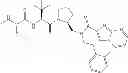 Fig. 161 - IAP BIR domain binding compounds