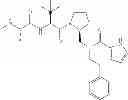 Fig. 173 - IAP BIR domain binding compounds