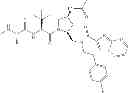 Fig. 205 - IAP BIR domain binding compounds