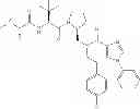 Fig. 211 - IAP BIR domain binding compounds