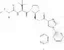 Fig. 216 - IAP BIR domain binding compounds