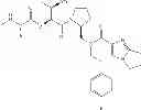 Fig. 231 - IAP BIR domain binding compounds