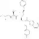 Fig. 256 - IAP BIR domain binding compounds