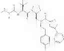 Fig. 265 - IAP BIR domain binding compounds