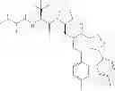 Fig. 276 - IAP BIR domain binding compounds