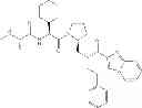 Fig. 296 - IAP BIR domain binding compounds