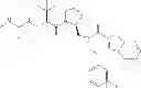 Fig. 303 - IAP BIR domain binding compounds
