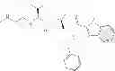 Fig. 307 - IAP BIR domain binding compounds