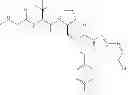 Fig. 337 - IAP BIR domain binding compounds