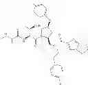 Fig. 405 - IAP BIR domain binding compounds