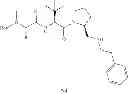 Fig. 49 - IAP BIR domain binding compounds