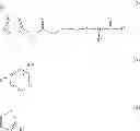 Fig. 02 - P38 MAP kinase inhibitors