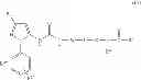 Fig. 08 - P38 MAP kinase inhibitors