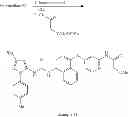 Fig. 103 - P38 MAP kinase inhibitors