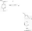 Fig. 63 - P38 MAP kinase inhibitors