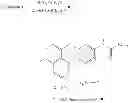 Fig. 74 - P38 MAP kinase inhibitors