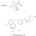 Fig. 76 - P38 MAP kinase inhibitors