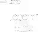 Fig. 77 - P38 MAP kinase inhibitors