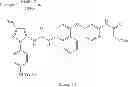 Fig. 84 - P38 MAP kinase inhibitors