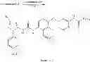 Fig. 89 - P38 MAP kinase inhibitors
