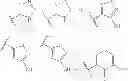 Fig. 06 - RAF KINASE INHIBITORS