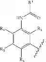 Fig. 37 - RAF KINASE INHIBITORS