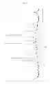 Fig. 07 - 1-cyclopropyl-8-methyl-7-[5-methyl-6-(methylamino)-3-pyridinyl]-4-oxo-1,4-dihydro-3-quinolinecarboxylic acid salts
