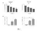 Fig. 05 - PHARMACEUTICAL COMPOSITIONS COMPRISING NEUROPILIN INHIBITORS, AND THEIR USE FOR THE PREVENTION AND/OR TREATMENT OF ANGIOGENIC DISORDERS AND CANCERS
