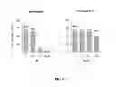 Fig. 07 - PHARMACEUTICAL COMPOSITIONS COMPRISING NEUROPILIN INHIBITORS, AND THEIR USE FOR THE PREVENTION AND/OR TREATMENT OF ANGIOGENIC DISORDERS AND CANCERS