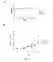 Fig. 11 - PHARMACEUTICAL COMPOSITIONS COMPRISING NEUROPILIN INHIBITORS, AND THEIR USE FOR THE PREVENTION AND/OR TREATMENT OF ANGIOGENIC DISORDERS AND CANCERS