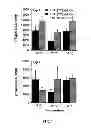 Fig. 04 - Pharmaceutical composition for intracellar acidification with cis-urocanic acid