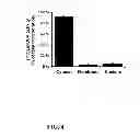 Fig. 05 - Pharmaceutical composition for intracellar acidification with cis-urocanic acid
