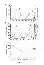 Fig. 06 - Pharmaceutical composition for intracellar acidification with cis-urocanic acid