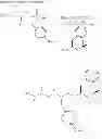Fig. 29 - Compounds for enzyme inhibition