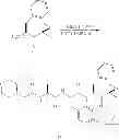 Fig. 37 - Compounds for enzyme inhibition