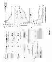 Fig. 02 - Methods and means for increasing resistance to cell damage