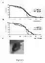 Fig. 06 - Methods and means for increasing resistance to cell damage