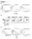 Fig. 02 - Method of treating acute myelogenous leukemia