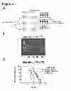 Fig. 07 - Method of treating acute myelogenous leukemia