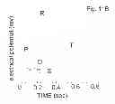 Fig. 20 - Control of blood flow assist systems