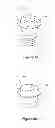 Fig. 03 - Epidermal down-growth barrier